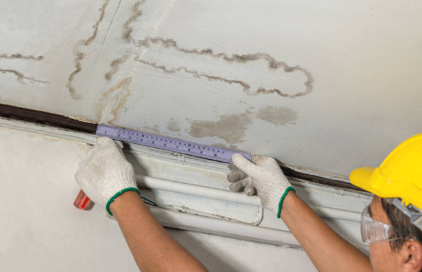 Reliable Water Damage contractor in Mossyrock, WA by Water Damage Irwin